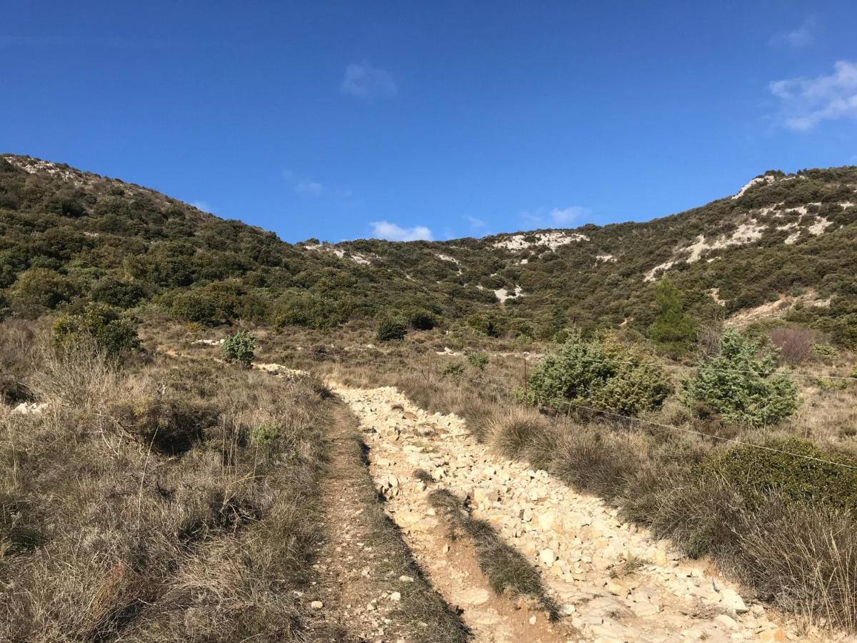 Chambre En Ardeche Du Sud Saint-Remèze Kültér fotó